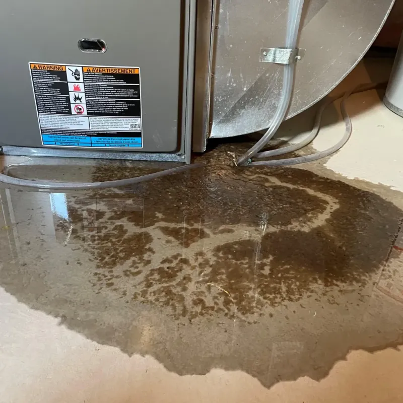 Appliance Leak Cleanup in Culberson County, TX