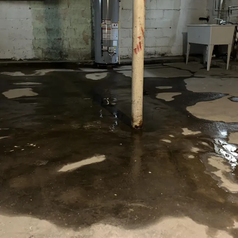 Emergency Water Extraction And Removal in Culberson County, TX